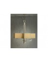 Paragon 4 Light Chandelier Paragon 4 Light Chandelier