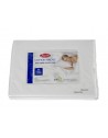 Body Pillowcase Twin PackPremium 300 Thread Count