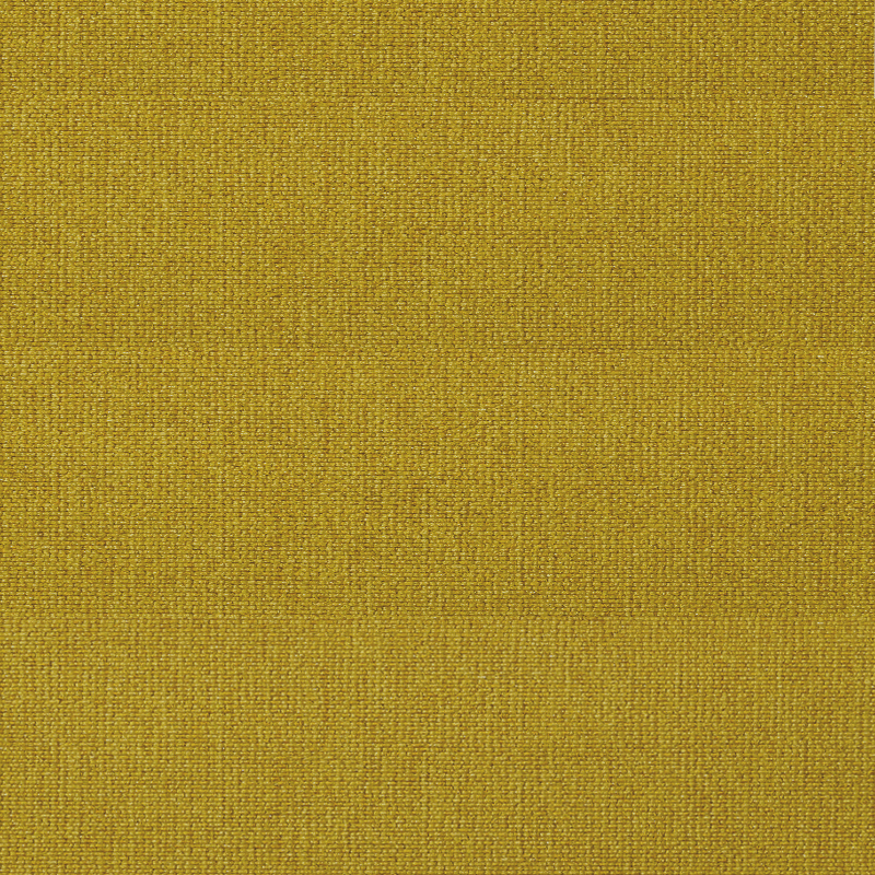 554-Soft-Mustard-Flower-2021