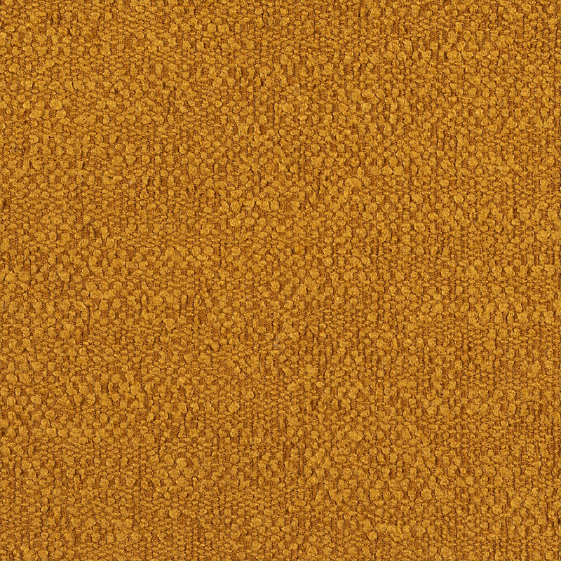 536-Boucle-Ochre-2023