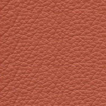 Millennium Burnt Sienna